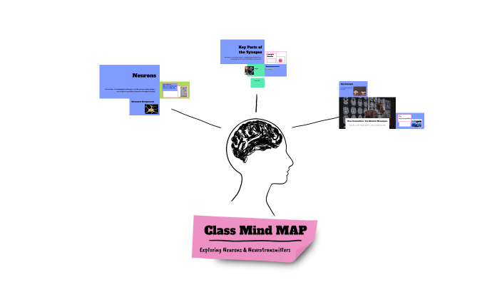 Class Mind MAP by qam medi on Prezi