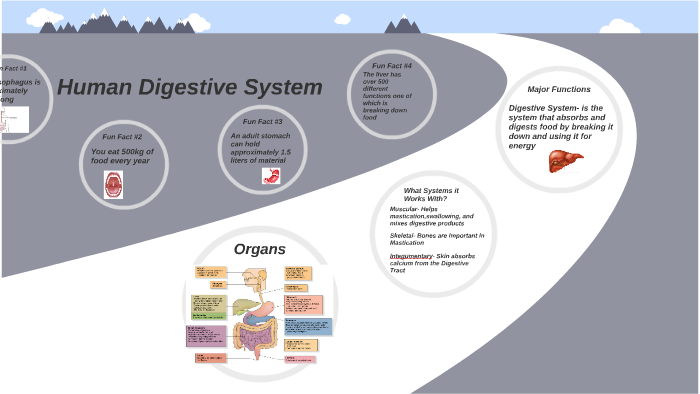 Digestive System by Sean Canady on Prezi