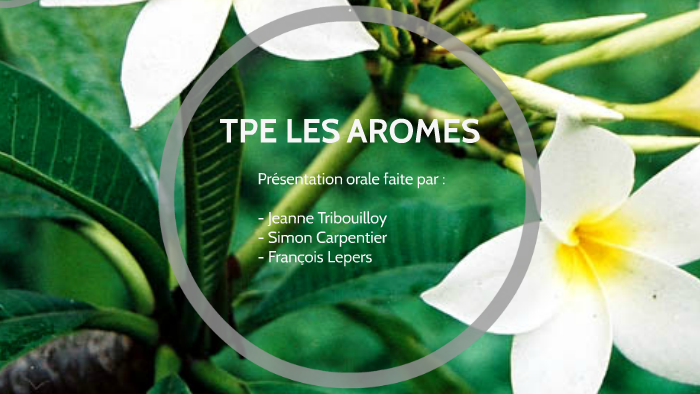Page De Garde D'un Tpe Aromes