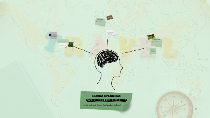 Biomas Brasileiros: Diversidade e Ecossistemas by Elisabete Lima on Prezi