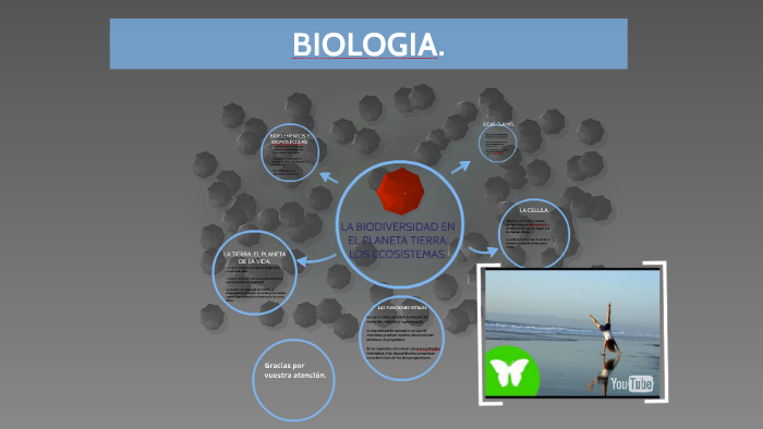 LA BIODIVERSIDAD EN EL PLANETA TIERRA. LOSECOSISTEMAS. by fatima boury ...