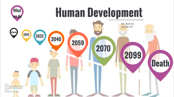 Stages of Human Development by Bethany Daniels on Prezi