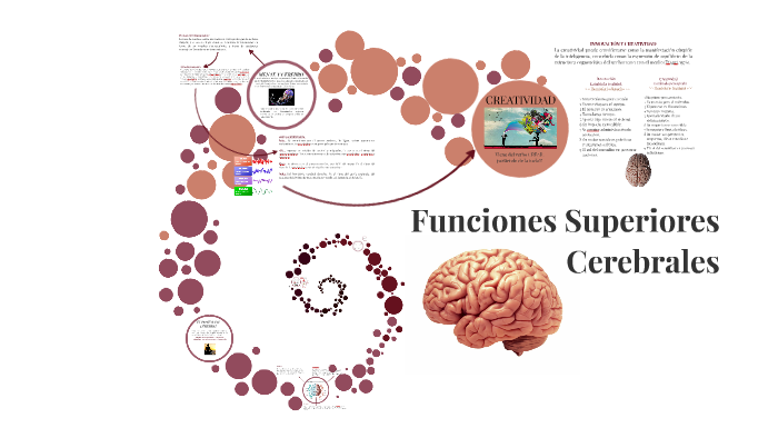 Funciones Superiores Cerebrales by karen mendoza on Prezi