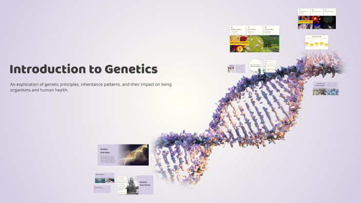 Introduction to Genetics by anne lorraine pineda on Prezi