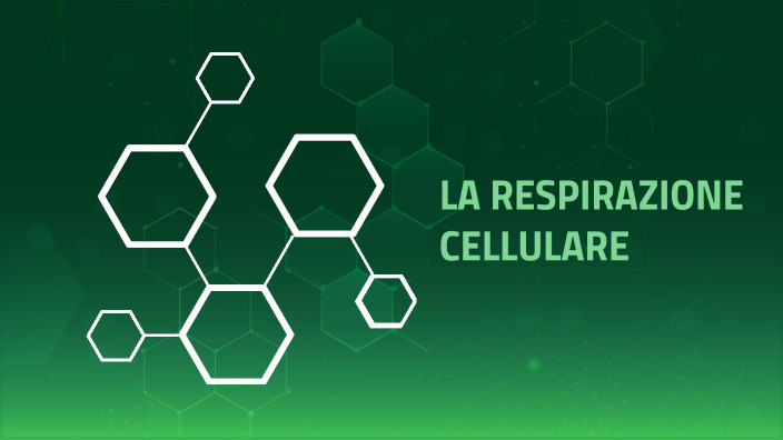 La Respirazione Cellulare By Elena Iervolino