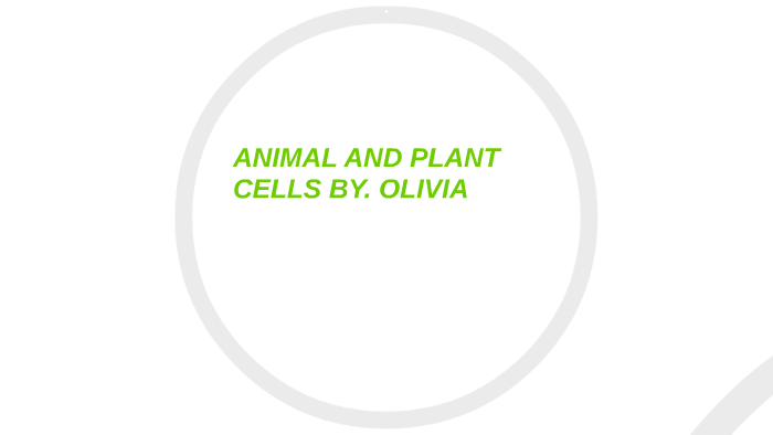 what-is-a-plant-cell-by-olivia-arnold