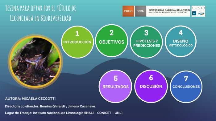 Tesina biodiversidad by María Luz Patrono on Prezi