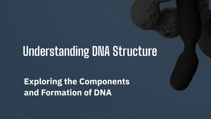 Understanding DNA Structure by Max O'Brien on Prezi
