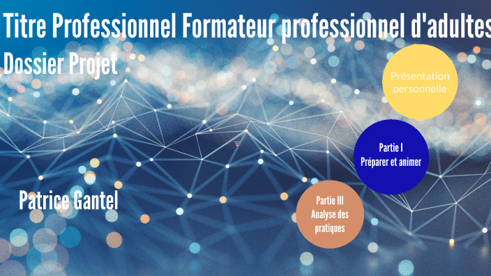 Dossier Professionnel Fpa Exemple Rempli Gratuit DOSSIER PROJET PRO patrice gantel by Patou Pattou on Prezi