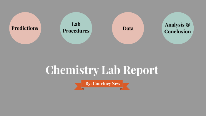 alka seltzer experiment lab report