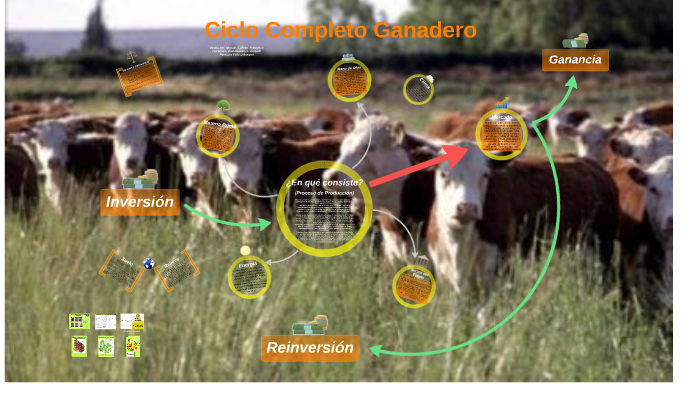 Ciclo Completo Ganadero by felix leborgne on Prezi