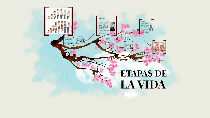 ETAPAS DE LA VIDA by Armando Vite on Prezi