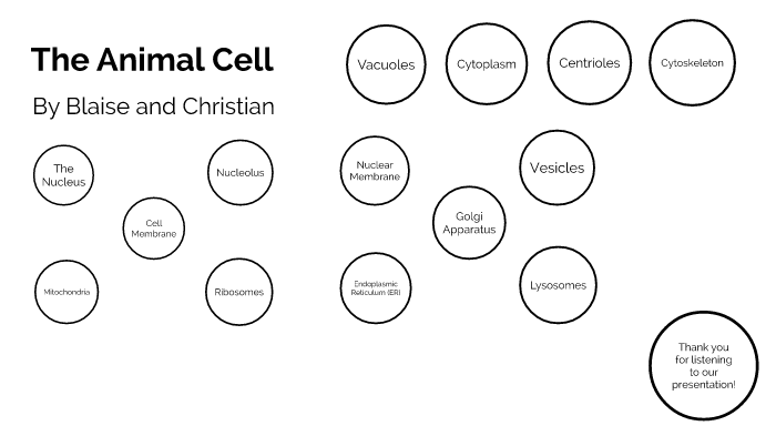 The Animal Cell by Blaise Wood on Prezi
