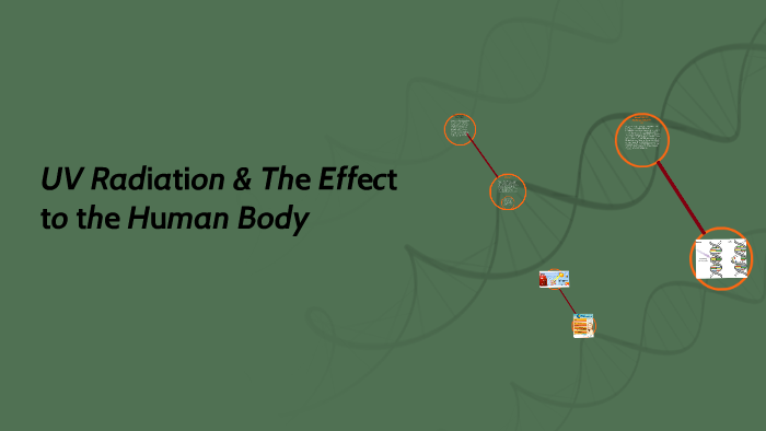 UV Radiation & The Effect to the Human Body by yaneese cardenales