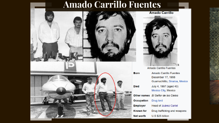 Amado Carrillo Fuentes by Prezi User on Prezi