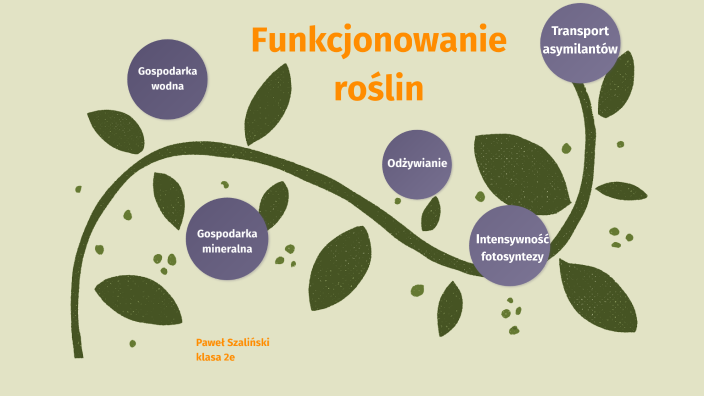 Sprawdzian Funkcjonowanie Roślin Nowa Era Liceum prezi.com