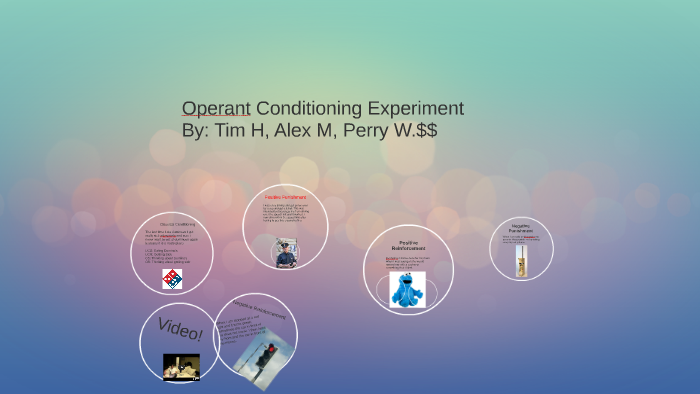 operant conditioning experiment prezi