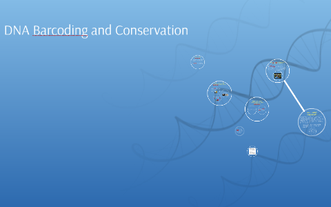 DNA Barcoding and Conservation by Jennifer Hunt on Prezi