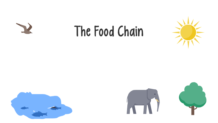 The Food Chain by Mia Somenzi on Prezi