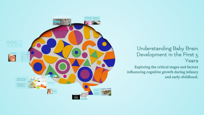 Understanding Baby Brain Development in the First 5 Years by Marium ...