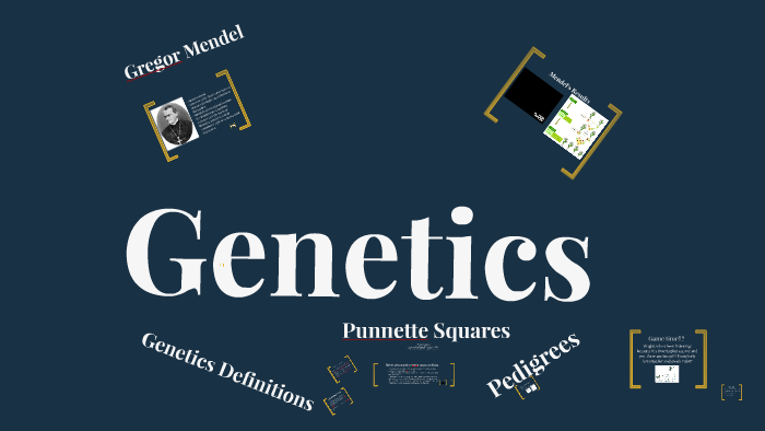 Introduction To Genetics By Emily Holdsworth