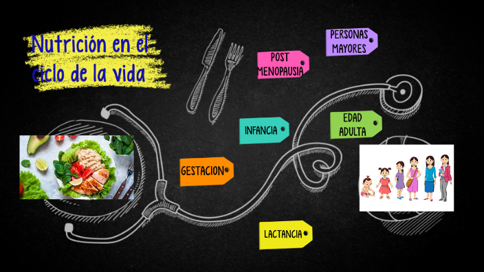 La nutricion en las diferentes etapas de la vida by maria de los