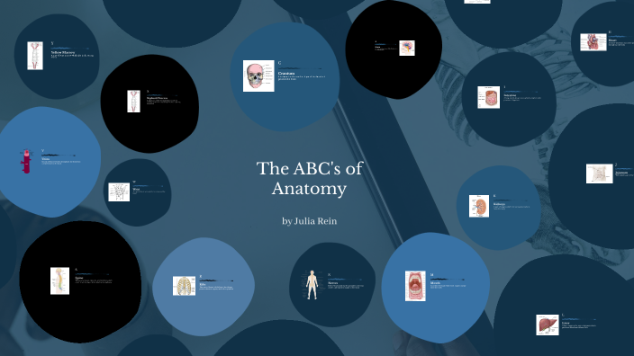 ABC Anatomy Project by Julia Rein on Prezi