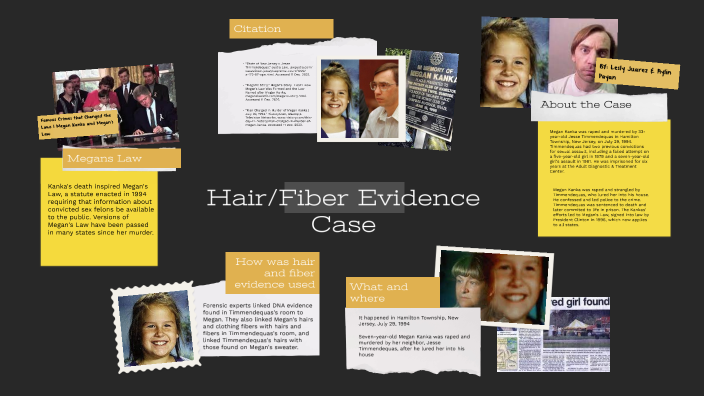Hair Fiber Evidence By Lesly Juarez Rojano On Prezi