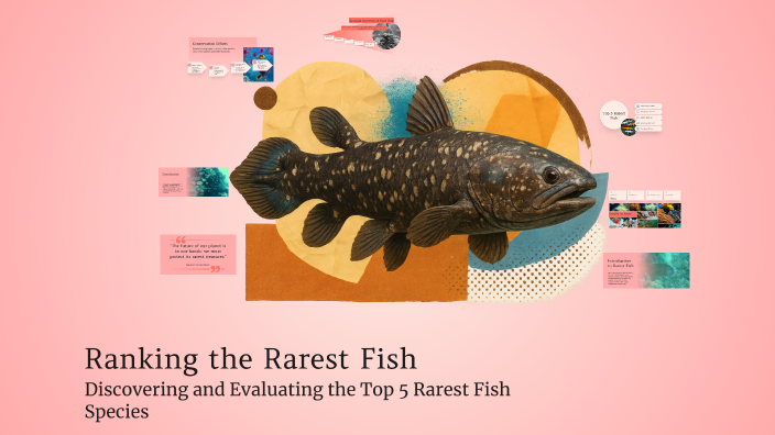 Ranking the Rarest Fish by Evan Click on Prezi