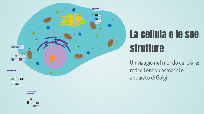 La cellula e le sue strutture by maria italia on Prezi
