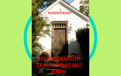 MY INTERNSHIP AT MEADOWS BEE FARM by maezie cramp on Prezi