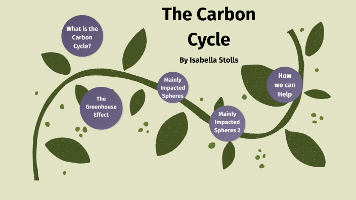 The Carbon Cycle by Isabella Stolls on Prezi