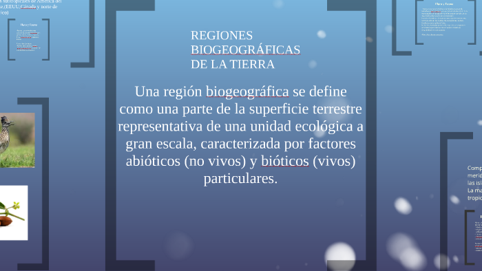 REGIONES BIOGEOGRÁFICAS DE LA TIERRA by David Daza Aguilera on Prezi