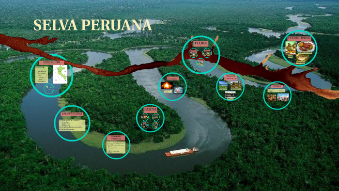 SELVA PERUANA by DIANA ISABEL RIOS VALLE on Prezi