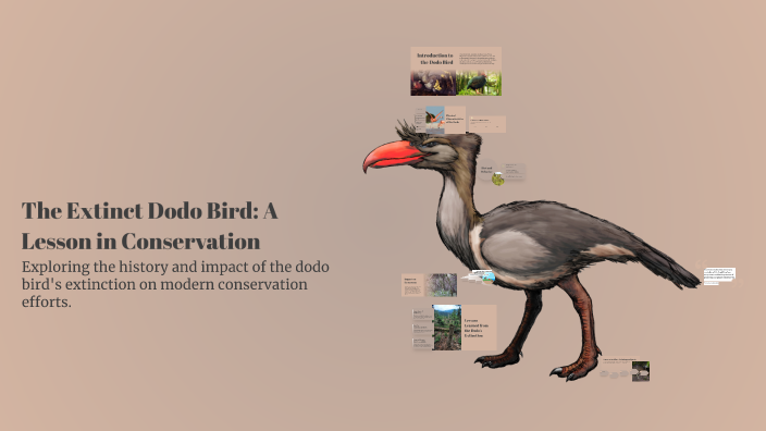 The Extinct Dodo Bird: A Lesson in Conservation by Mohi on Prezi