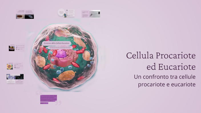 Cellula Procariote ed Eucariote by eliana vazza on Prezi