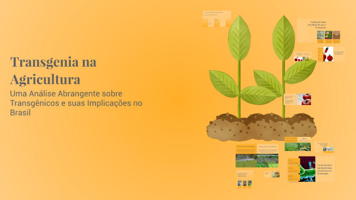 Transgenia na Agricultura by Roberta Cipriano on Prezi