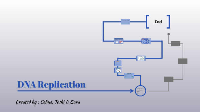 DNA Replication by Sara Abrahamson on Prezi