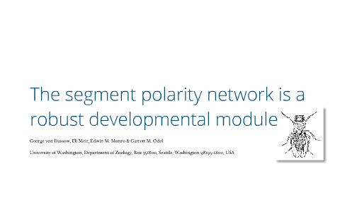 The segment polarity network is a robust developmental module by ...