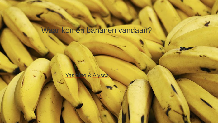Waar komen bananen vandaan? by Yasmine DK