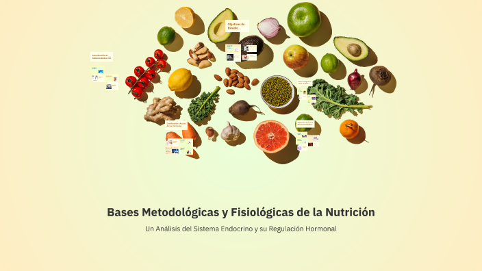 Bases Metodológicas y Fisiológicas de la Nutrición by MONTSERRAT
