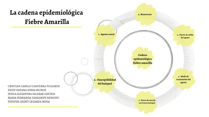 Fiebre Amarilla By Maria Fernanda T R On Prezi Next