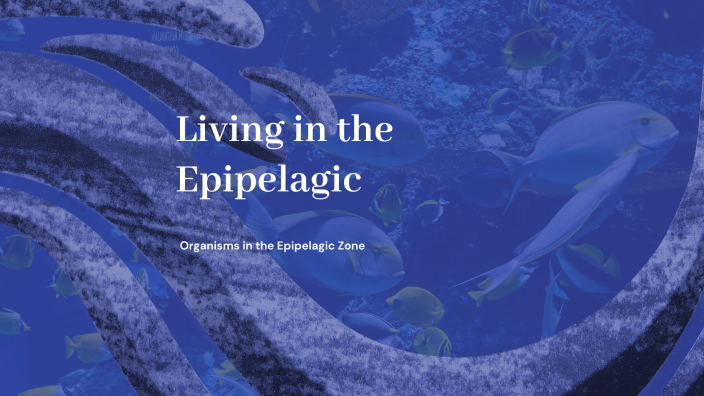 Adaptations in the Epipelagic Zone by Jadelynn Alisatiah Toma on Prezi