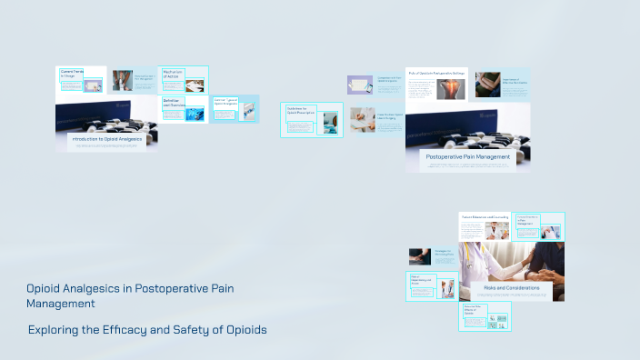Opioid Analgesics in Postoperative Pain Management by Vilbert M ...