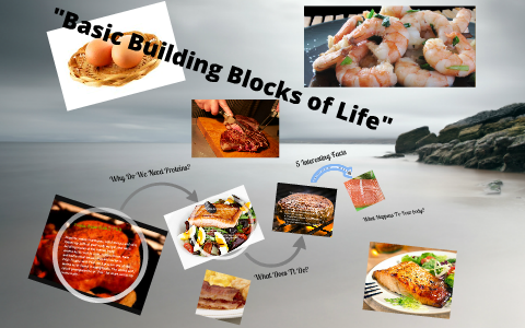 Building Blocks of Your Body by rico richardson on Prezi