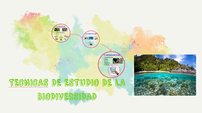 TECNICAS DE ESTUDIO DE LA BIODIVERSIDAD By Nizareli Fabián Toledo On Prezi