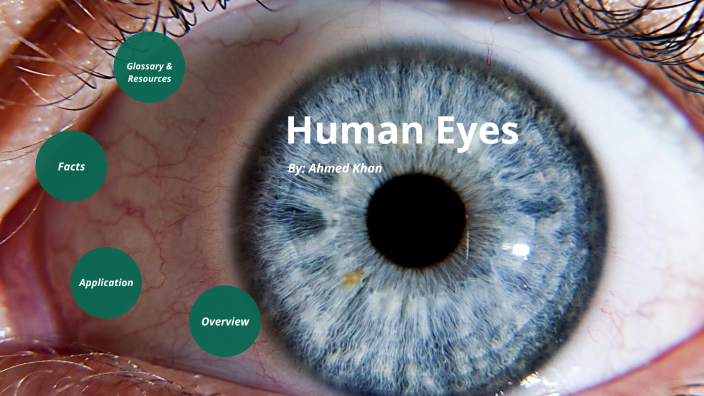 Assignment On Eye Optics Research Assignment - Human Eyes by Ahmed Khan on Prezi
