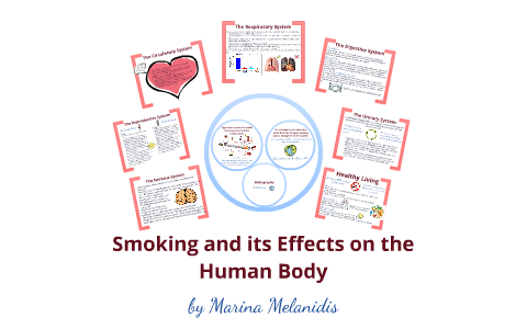 Smoking and its Effects on the Human Body by Marina Melanidis on Prezi