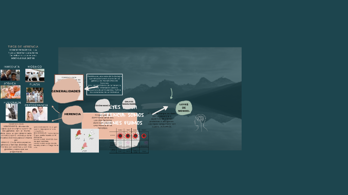 by GRACE T. on Prezi