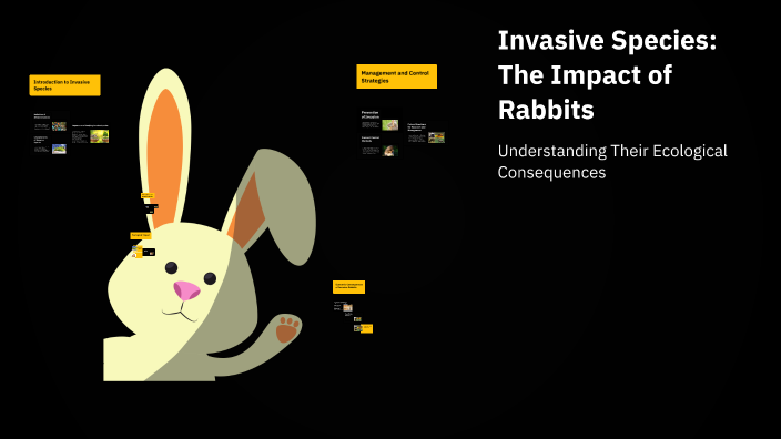 Invasive Species: The Impact of Rabbits by Sasha Greenwood on Prezi